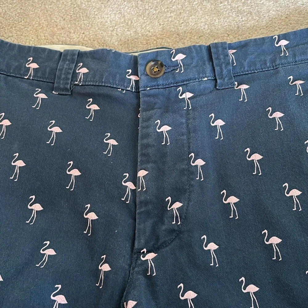 J. Crew Shorts